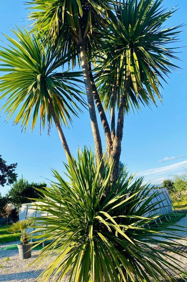 Quinta De Areias *