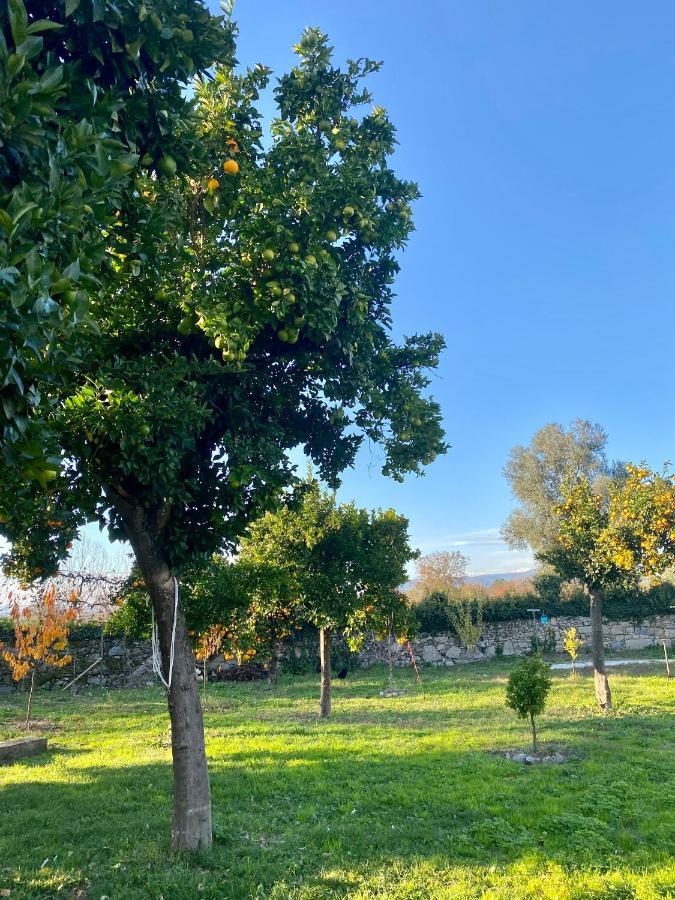 Quinta De Areias Crespos